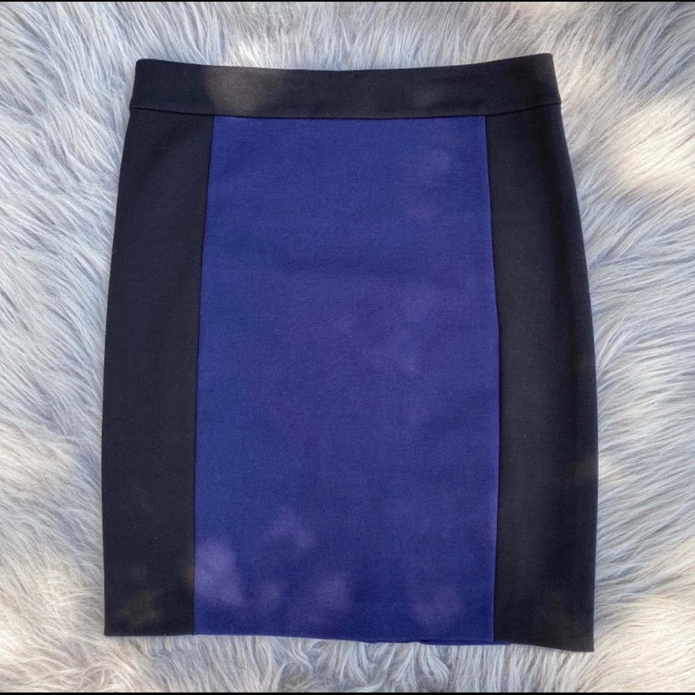 Club Monaco Blue/Black Skirt